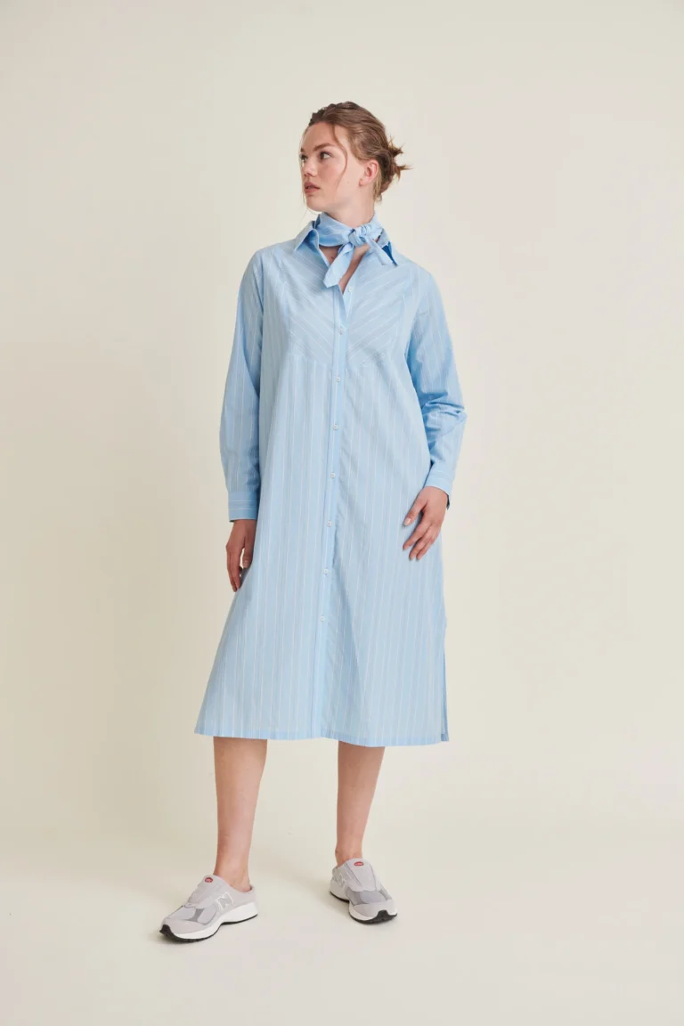 Chic Wrap Dress with Tie Waist and V-Neckline